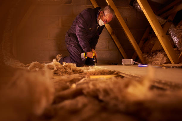 Best Professional Insulation Contractor  in Salisbury, MD